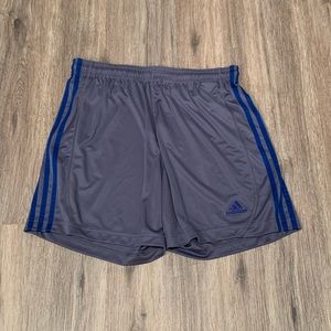 Adidas Volleyball Shorts